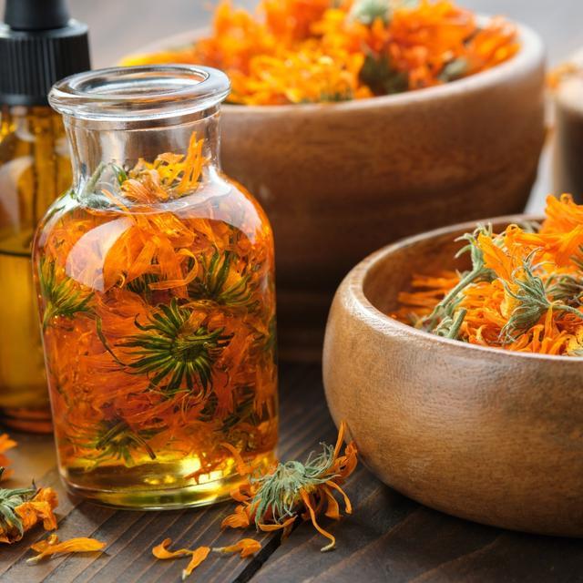 Image for Utilisation des herbes et des plantes
