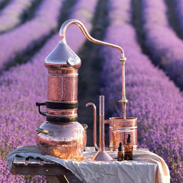 Image for Les huiles essentielles et leurs bienfaits pour la santé