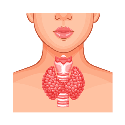 Hyperthyroïdie