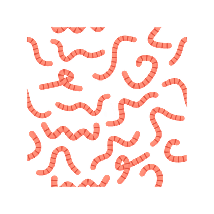 Helminthiase (infestation par des vers)